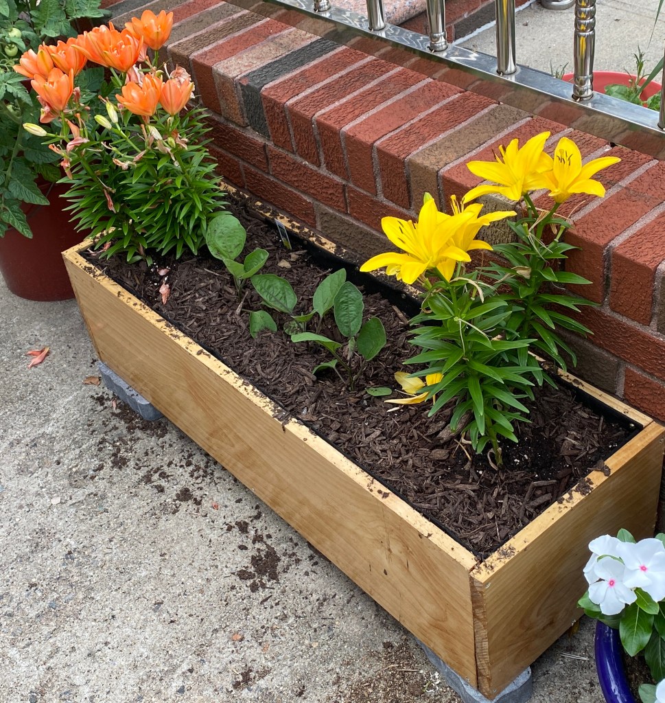 DIY Planter
