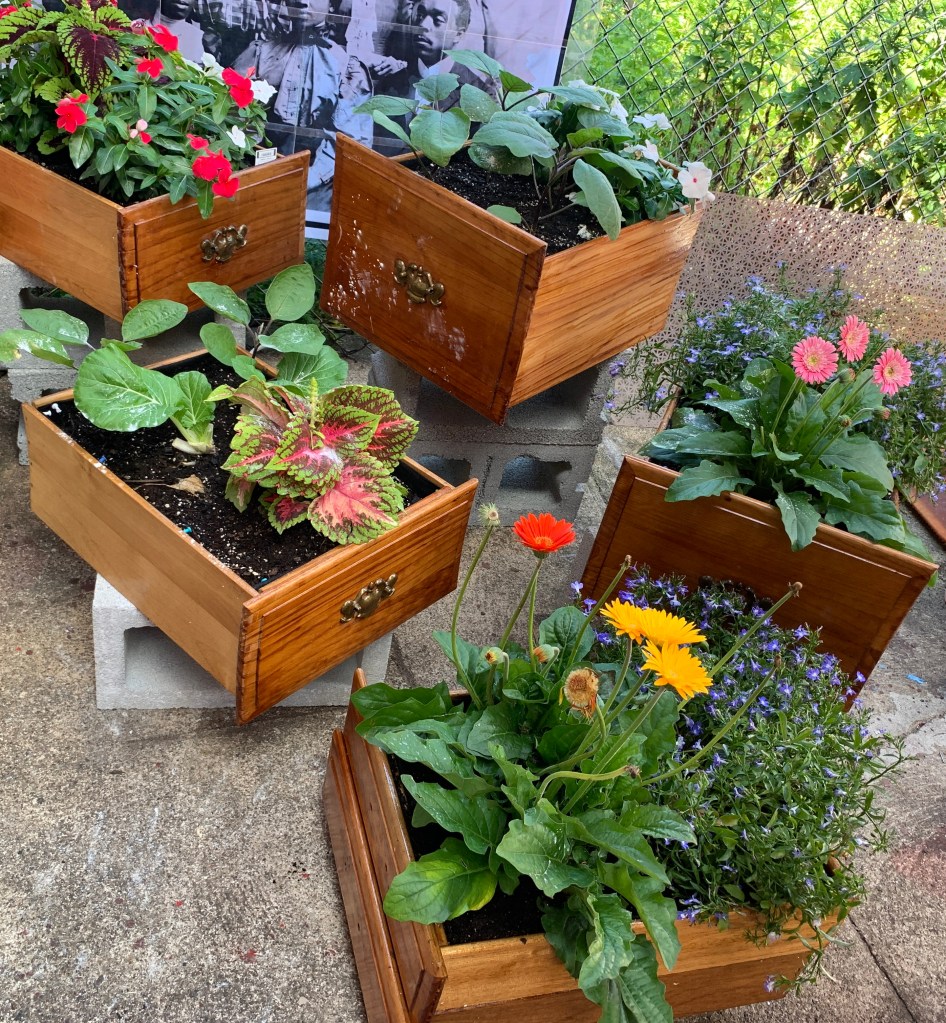 Drawer Planters