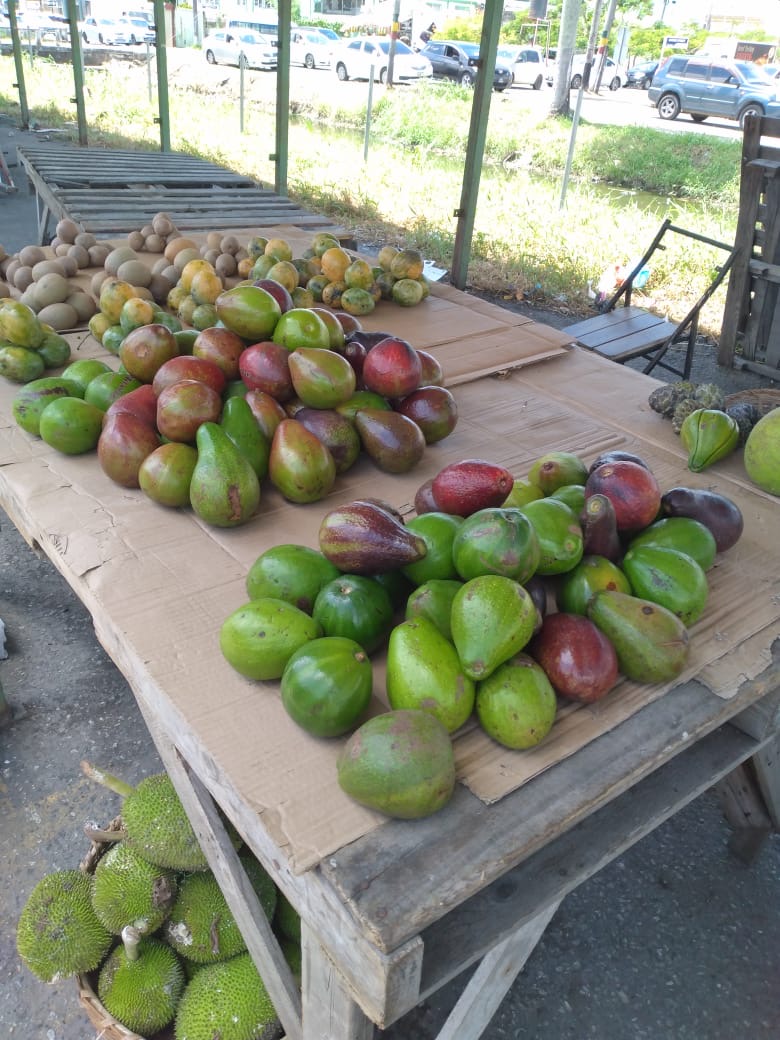 Pears (avocados), sapodilla, mangoes, soursop