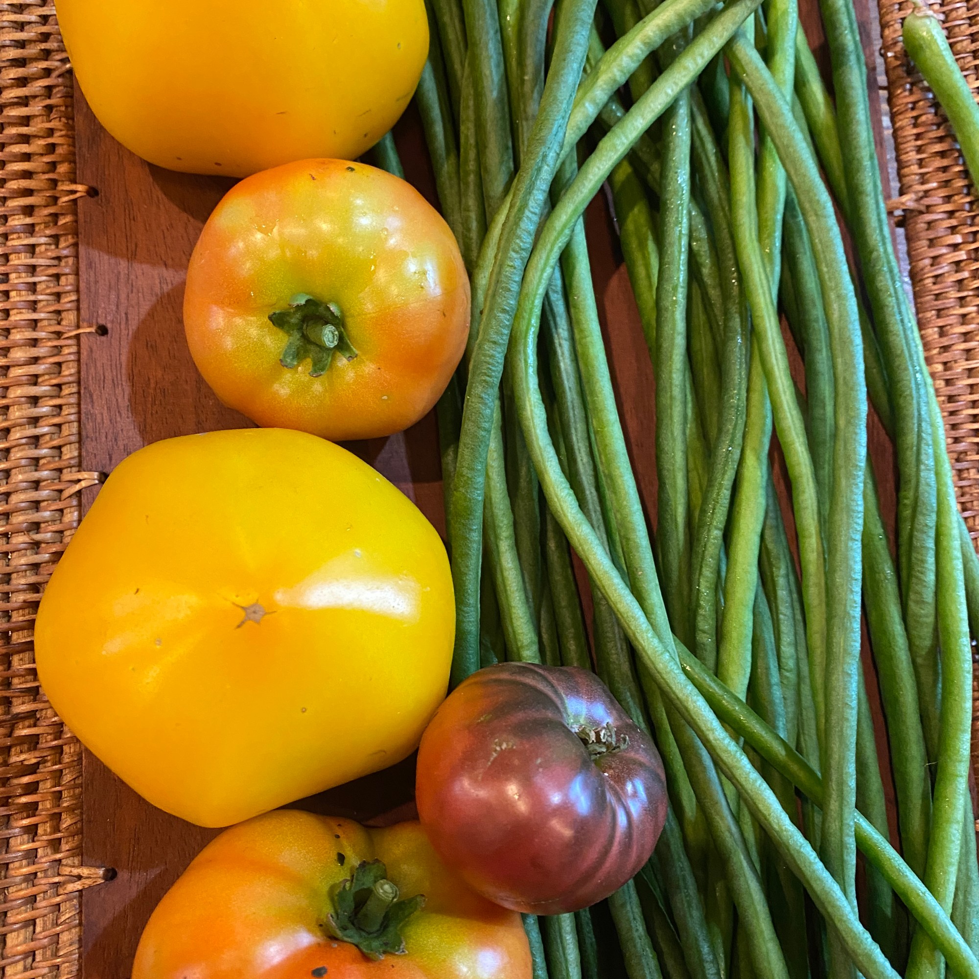 Golden Sunshine Tomatoes, Heirloom Tomatoes and Bora