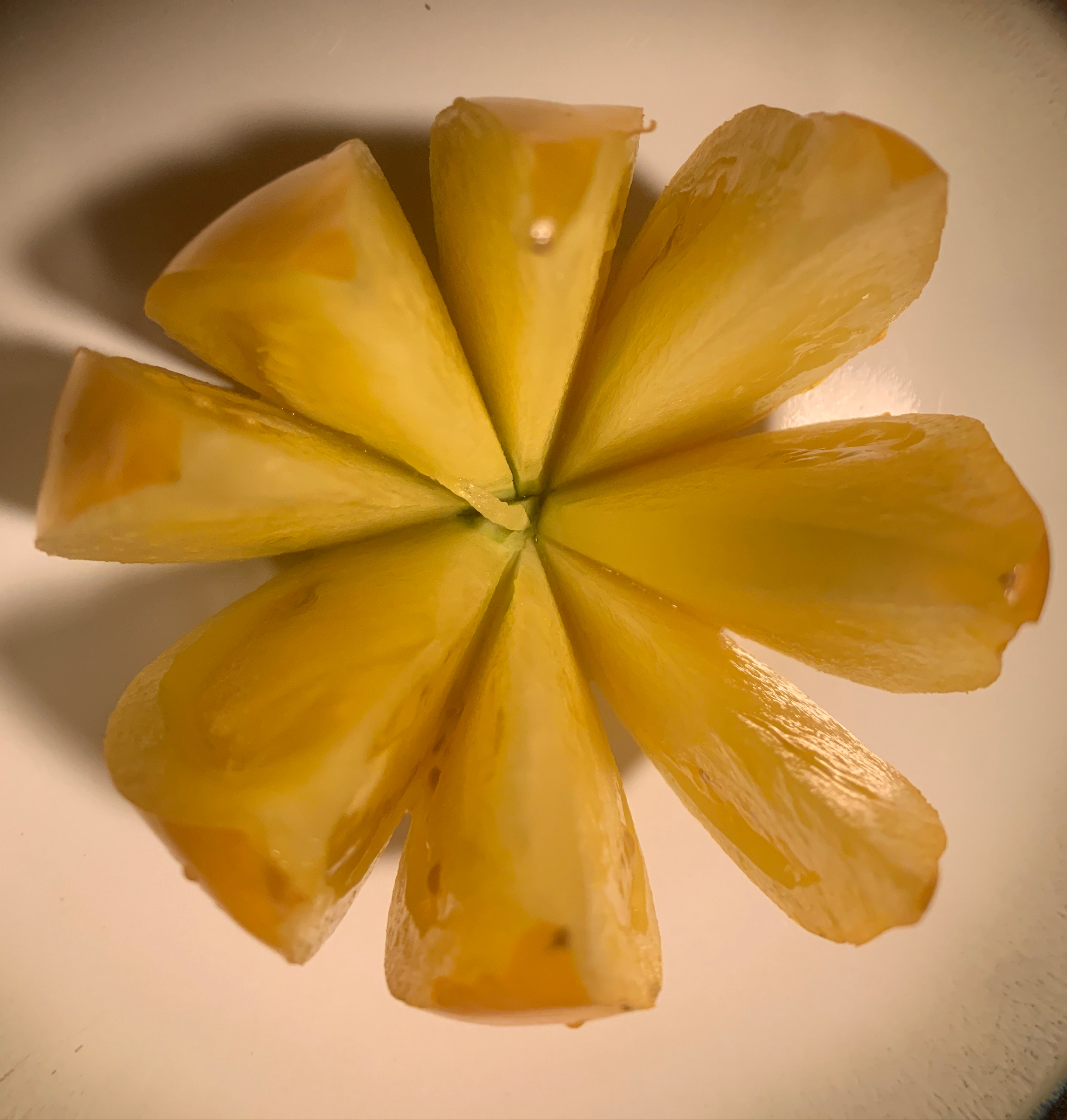 Golden Sunshine Tomato