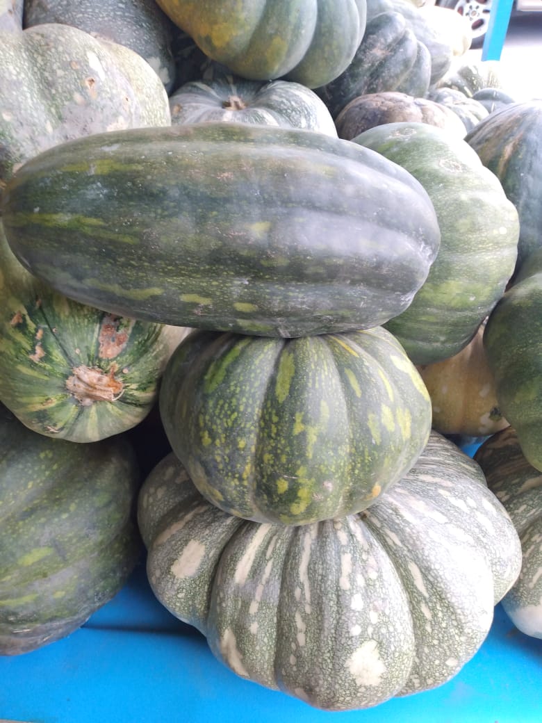 Guyanese Pumpkin: All Shapes and Sizes